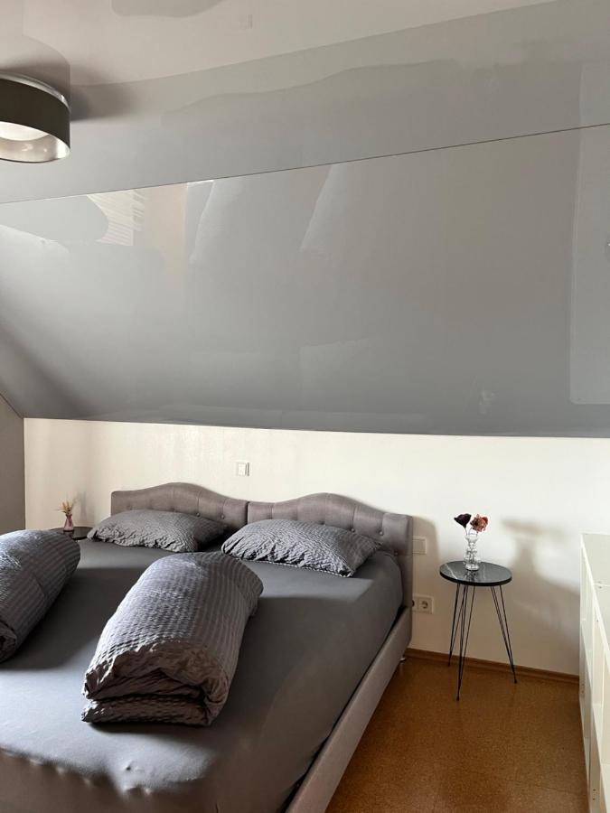 Lifestyle Apartment ซินส์ไฮม์ ภายนอก รูปภาพ